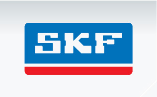ski-banner